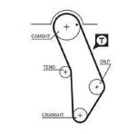 8597-15183 CINGHIE SINCRONE POWERGrip 14 A6-100-80-IBIZA-GOLF-PASSAT