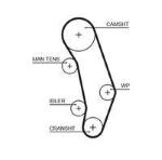 8597-15346 CINGHIE SINCRONE POWERGrip 12 100-TRASPORTER
