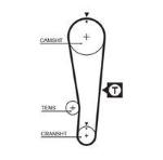 8597-15393 CINGHIE SINCRONE POWERGrip 89 SAMURAI - SWIFT