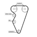 8597-15416 CINGHIE SINCRONE POWERGrip 14 FREELANDER