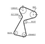 8597-15561 CINGHIE SINCRONE POWERGrip 15 MOVANO-CLIO-KANGOO-MEGANE