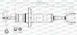 AMMORTIZZATORE ANTERIORE A4 Avant (8D5, (4B2, C5); A6 Avant (4B5, C5); : P