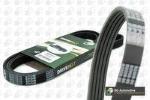 5 PK  775 CINGHIA POLY-V 106 1.5