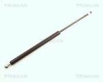 ML871025209 MOLLA POST. MEGANE I
