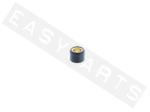 (RULLO)MASSA 15X12 GR 10