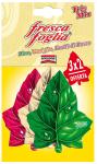 FRESCA FOGLIA PINO-VANIGLIA- FRUTTI DI B
