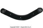 BRACCIO OSCILLANTE POSTERIORE CROMA 05>