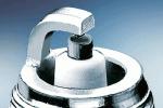 CANDELA WR6DCX