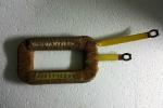 CAMPO BNG 24V OM TIGROTTO LUPETTO        LEONCINO