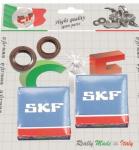 KIT REVISIONE ALBERO MOTORE SCOOTER PIAGCON GABBIA IN FERRO