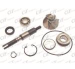KIT POMPA QUA  125/150