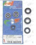 KIT REVISIONE POMPA QUA MOTORI MINAREL LI