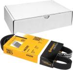 CINGHIA 4 PK  890  TIPO 1.4