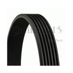 CINGHIA POLY-V  FOCUS C-MAX - 107 1.0