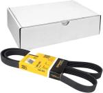 CINGHIA 6PK1460  ASTRA 1.6