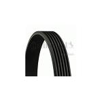 CINGHIA POLY-V 147,156 1.9JTD 04-10      147,156 1.9JTD 04-10