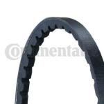 CINGHIA AVX 10 X  613 PEU 205 1.8
