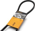 CINGHIA ALTERNATORE THEMA 2.8