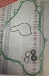 KIT GUARNIZIONI POMPA QUA  RMZ   250 07-16