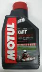KART GRAND PRIX OLIO 100% SINT 2T 1 LT.