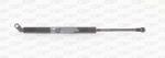 MOLLA A GAS BILATERALE PORTELLONE        POSTERIORE  SERIE 5 (E39) 95>