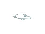 GUARNIZIONE CORPO POMPA QUA RX TUONO   RS 50 AM6 345