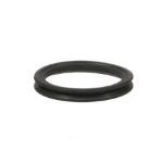O-Ring Perno Sospensione braccio oscill