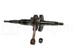 albero mot. AESS 50 1992 1995    MALAGUTI CROSSER VELOCIFERO ITALJET