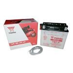 BATTERIA 12V 8 AH CON IDO              133X75X133