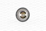 TERMOSTATO  DUCATO ULYSSE 2.0         VIVARO  CLIO 96>
