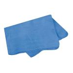 PANNO EASY-WIPE 43X32CM