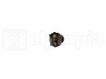 Presa bassa tensione Vespa 125-150-      150GS VS1 - P. 2506